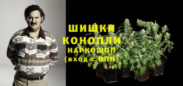 каннабис Белокуриха